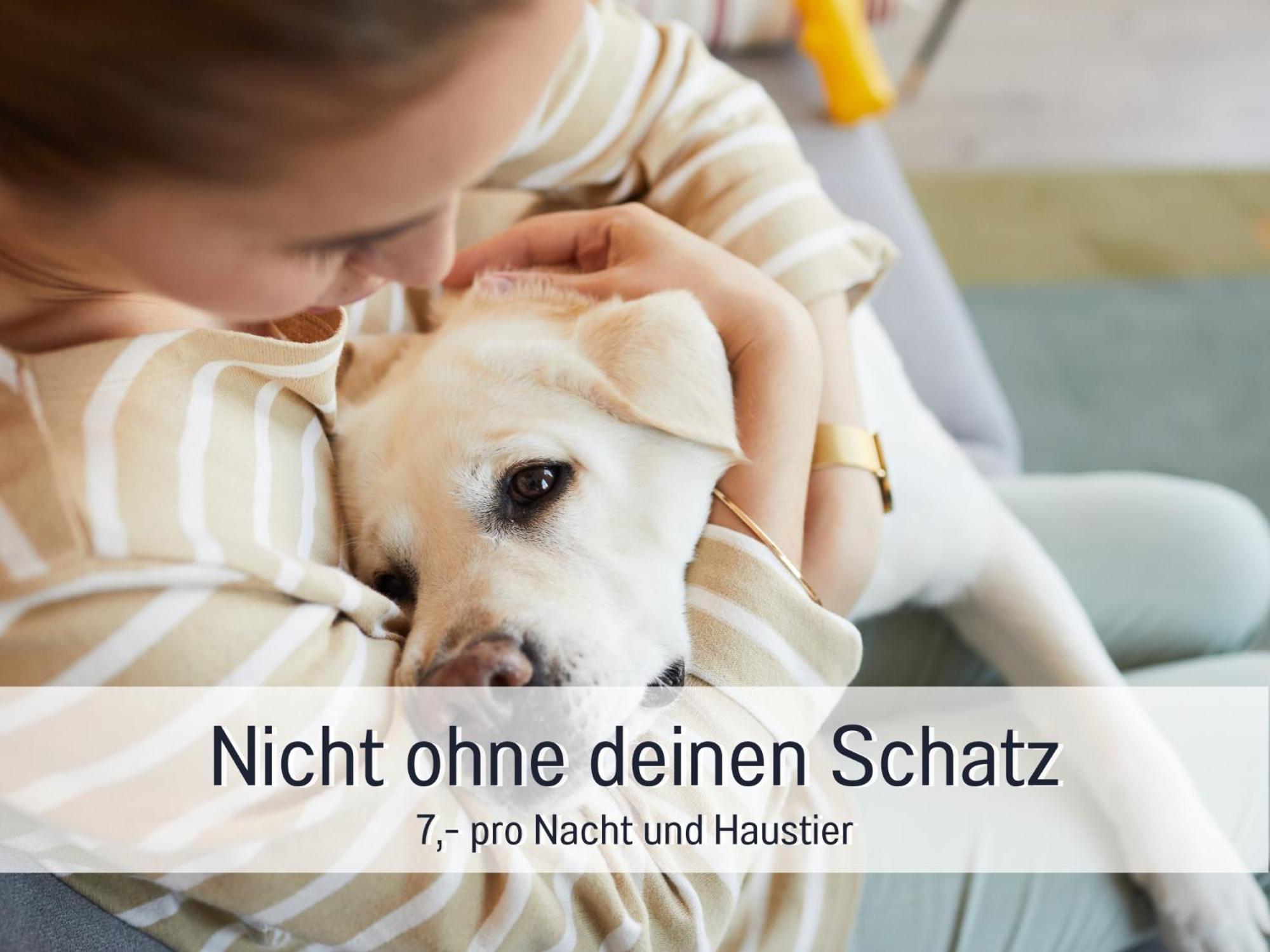 Ferienloft Sternenblick - Strandnah, Haustierfreundlich, Tolle Kueche, Optimal Fuer Workation, 4 Personen Steinberg  Buitenkant foto