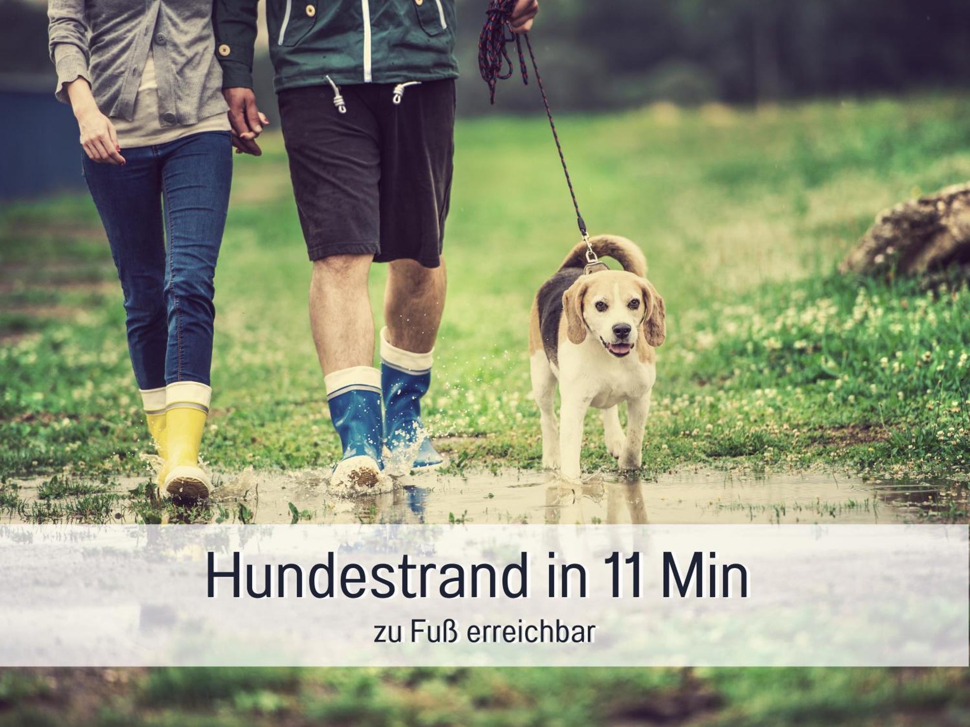 Ferienloft Sternenblick - Strandnah, Haustierfreundlich, Tolle Kueche, Optimal Fuer Workation, 4 Personen Steinberg  Buitenkant foto
