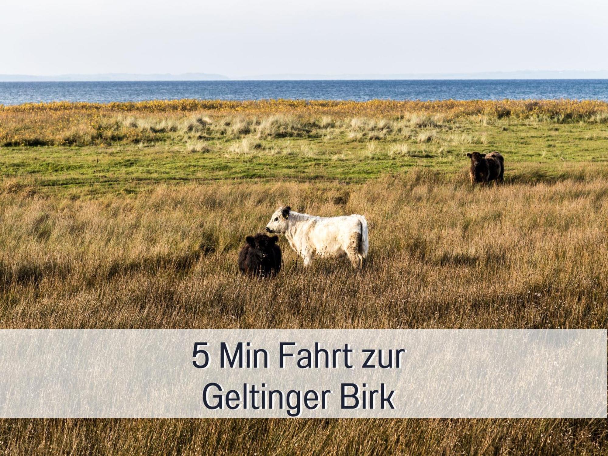 Ferienloft Sternenblick - Strandnah, Haustierfreundlich, Tolle Kueche, Optimal Fuer Workation, 4 Personen Steinberg  Buitenkant foto